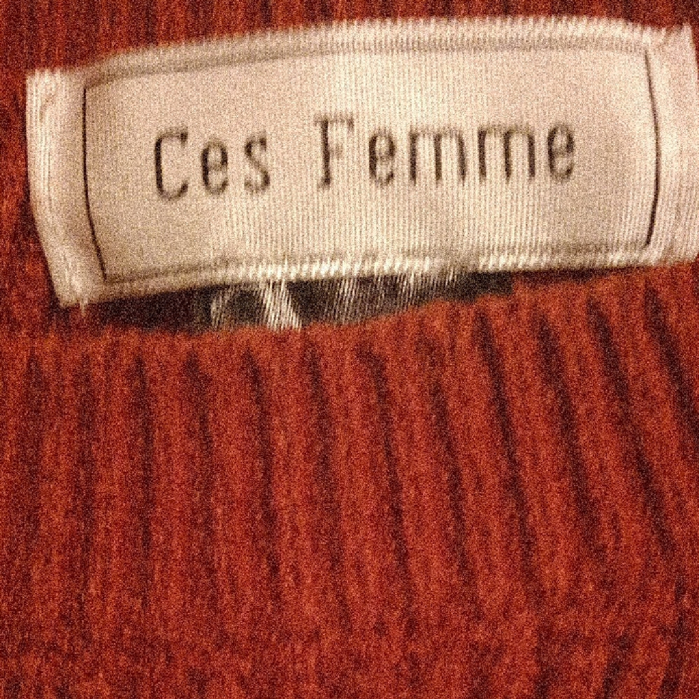 Ces Femme Women's Rust Sweater